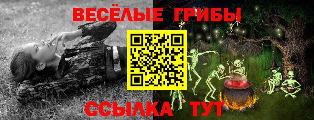 Туапсе  Галлюциногенные грибы Magic Shrooms  Вход с VPN 